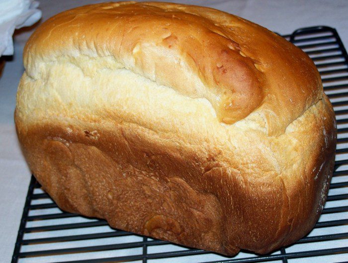 Oster bread machine recipes