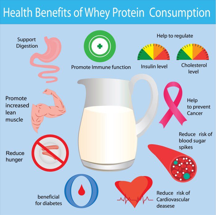 Benefits of protein diet