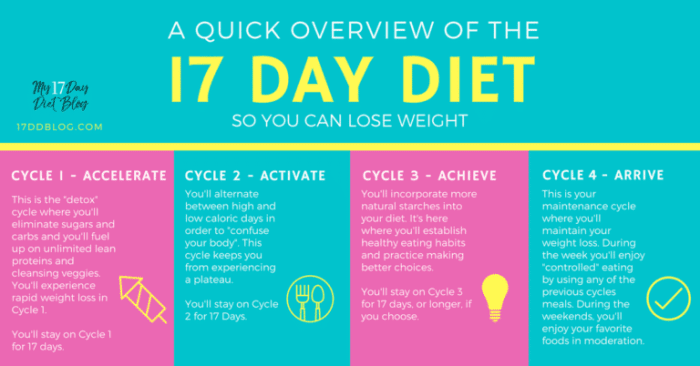 17 day diet