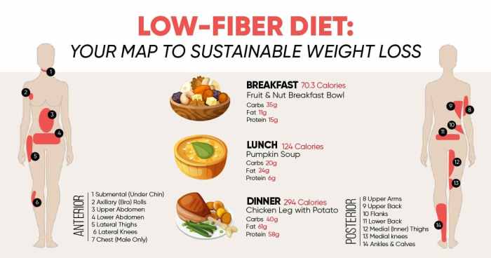 Low fiber diet
