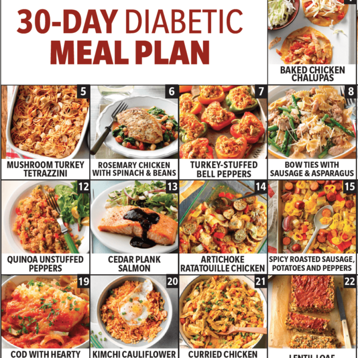 Diabetic diet book