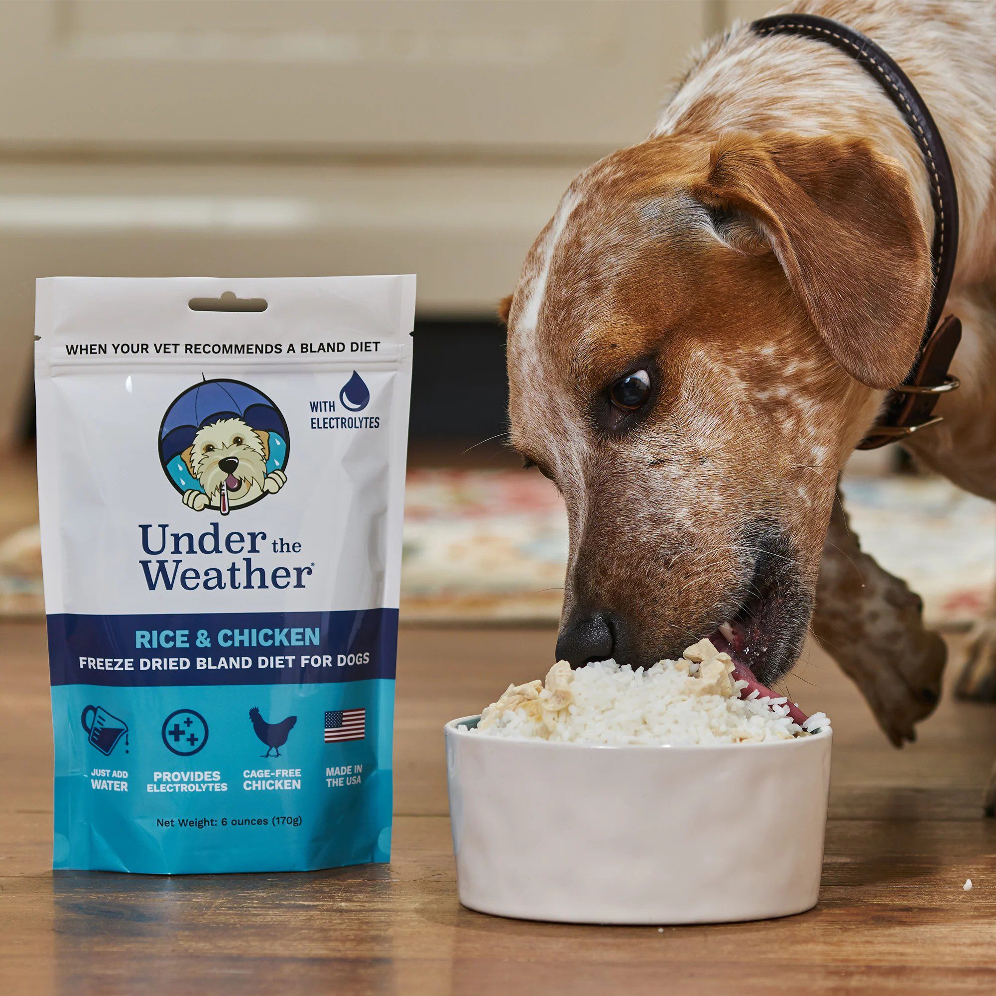 Bland diet dog food