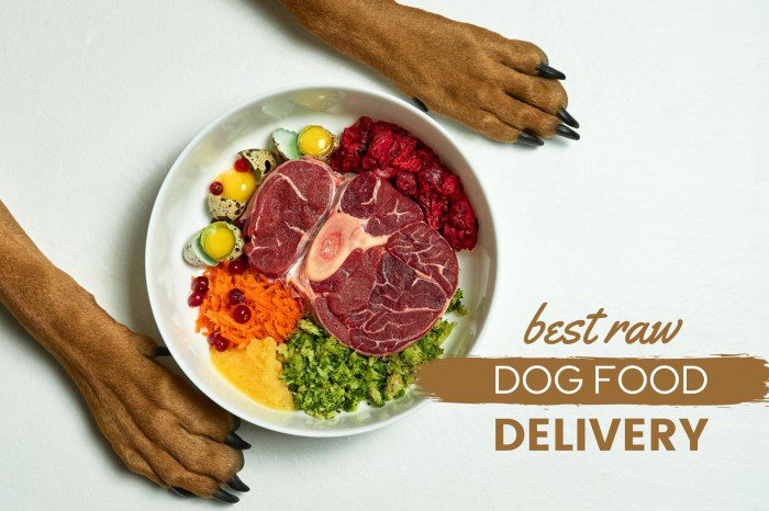 Canine raw food diet