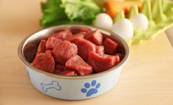 Raw dog food diets