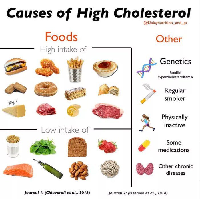 High cholesterol diet