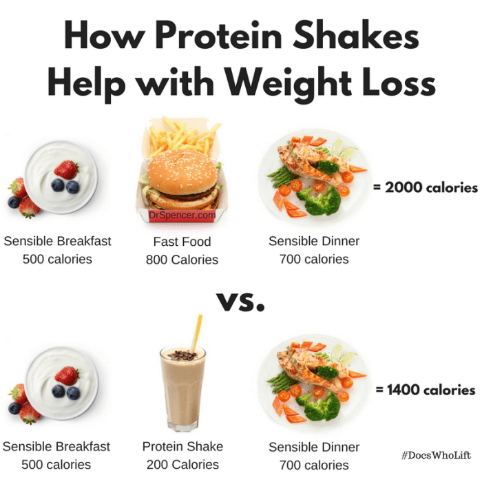 Protein shake diet for weight loss