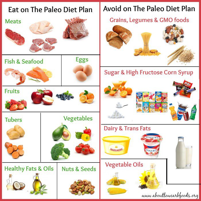 What is the paleo diet