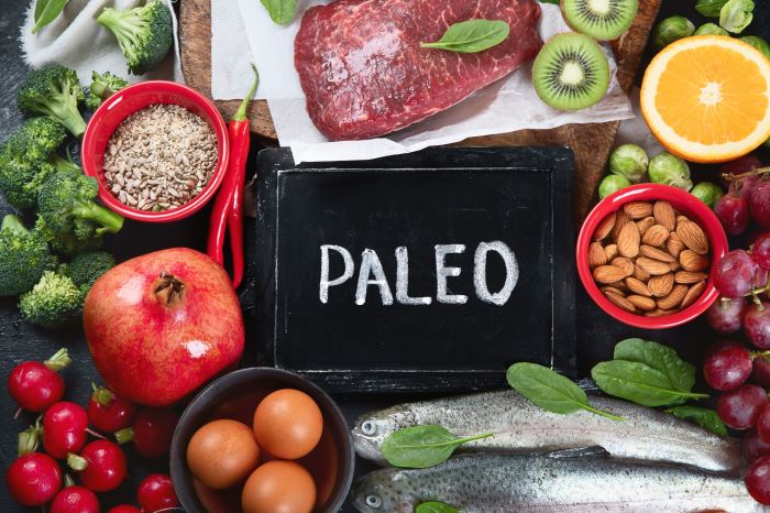 What is paleo diet