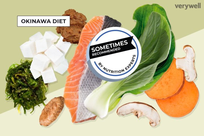 The okinawa diet plan