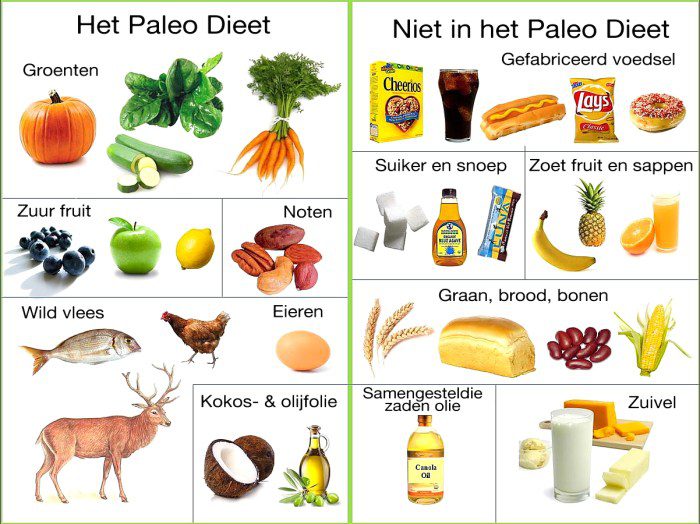 Foods to avoid on paleo diet