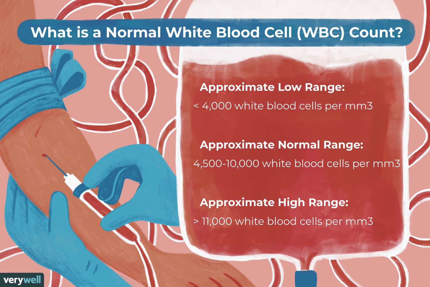 Normal white blood cell count