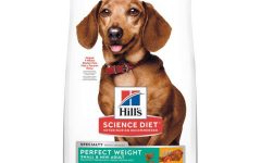 Science Diet: Enhancing Pet Health with Precision Nutrition