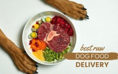 Unleashing the Benefits of a Canine Raw Food Diet: A Comprehensive Guide