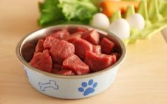 Raw Dog Food Diets: Unlocking the Benefits and Risks for Your Canine Companion