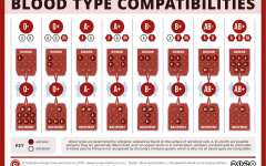 Blood Types: Unraveling the Secrets of Our Genetic Identity