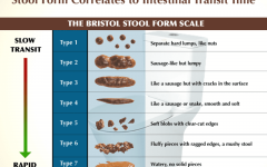 Diet for Loose Stools: A Guide to Manage Bowel Function