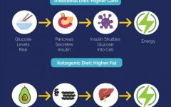 Ketosis Diet: The Ultimate Guide to Unlocking Fat-Burning Potential