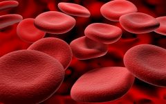 Blood: The Vital Fluid that Sustains Life