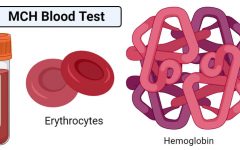 MCH Blood Test: A Comprehensive Overview for Understanding Hemoglobin Health