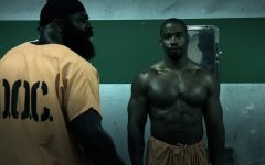 Blood and Bone: A Comprehensive Exploration of Their Interplay