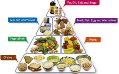 Diet for ADD Adults: A Comprehensive Guide to Nutrition and Lifestyle