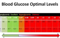 Blood Sugar Levels: A Comprehensive Guide to Regulation, Monitoring, and Management