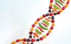 Genetics Diet: Unveiling the Link Between Genes and Nutrition