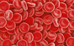 Low Red Blood Cell Count: Causes, Symptoms, and Treatment