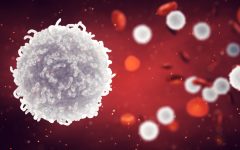 White Blood Cells: Defenders of the Immune System