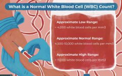 Normal White Blood Cell Count: A Comprehensive Guide