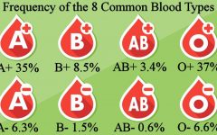 Rare Blood Types: Unraveling the Mysteries of Transfusions and Transplants